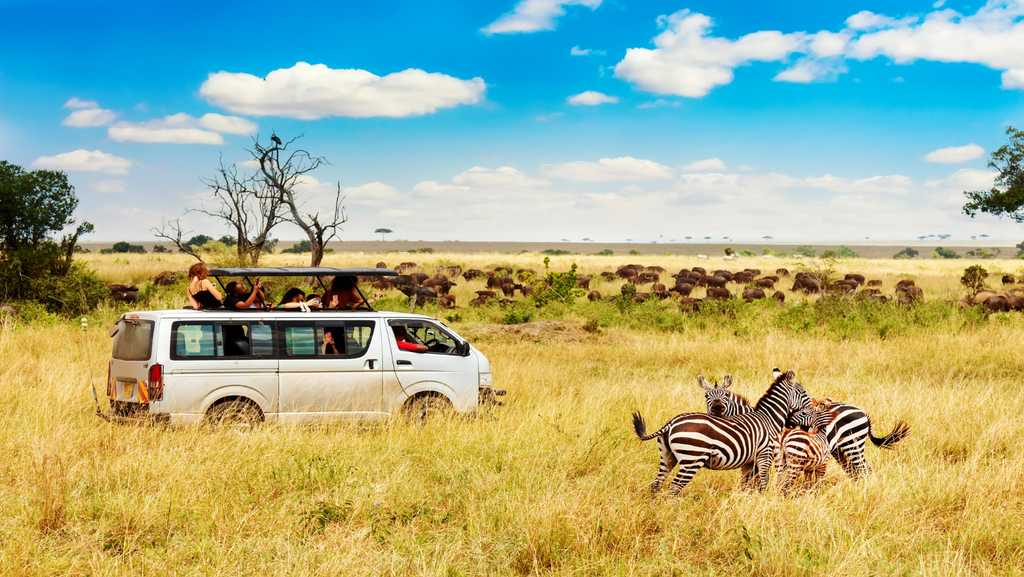 jungle-safari-1