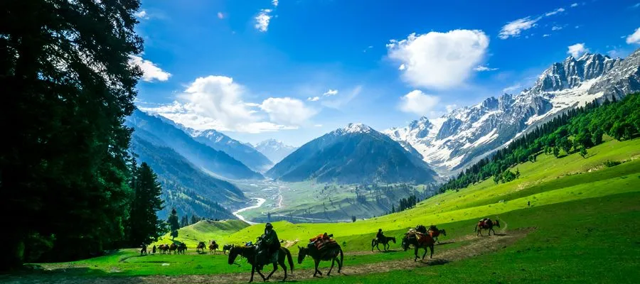 jammu
